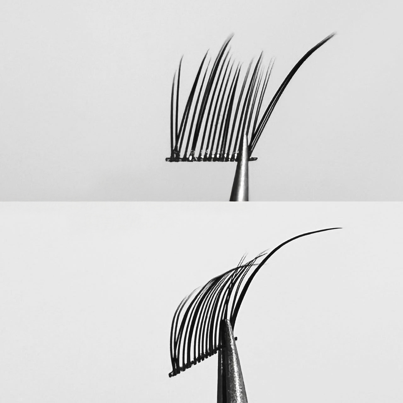 Fox- Style Natural False Eyela - Hair Care Korean Products recension och pris